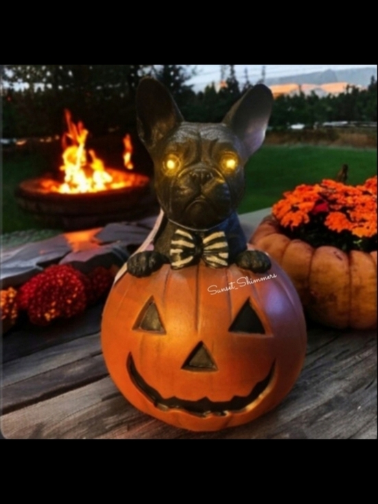 unbranded Other - Light Up French Bulldog Frenchie Dog In Jack Pumpkin Halloween Figure Decor NEW